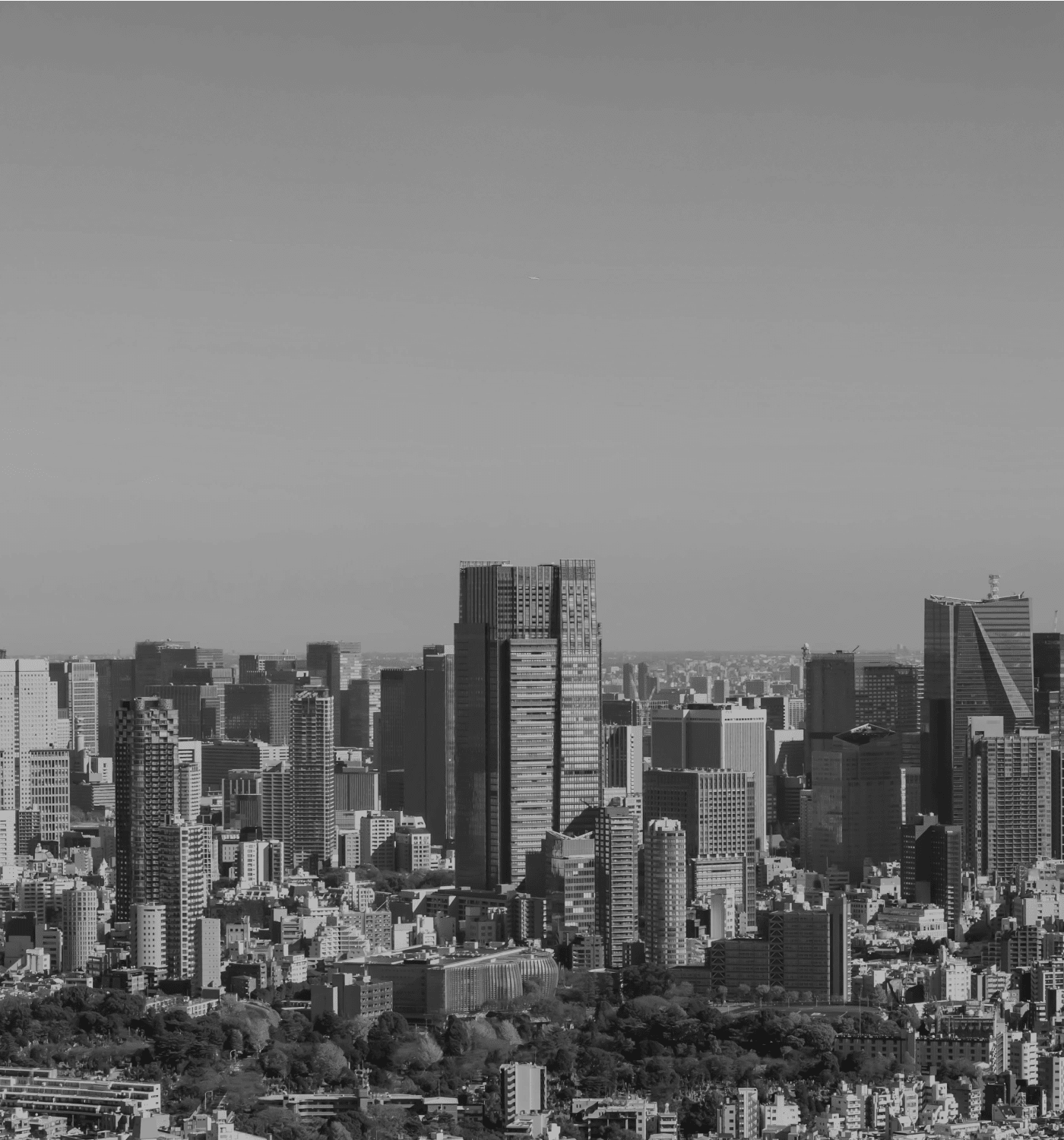 会社情報